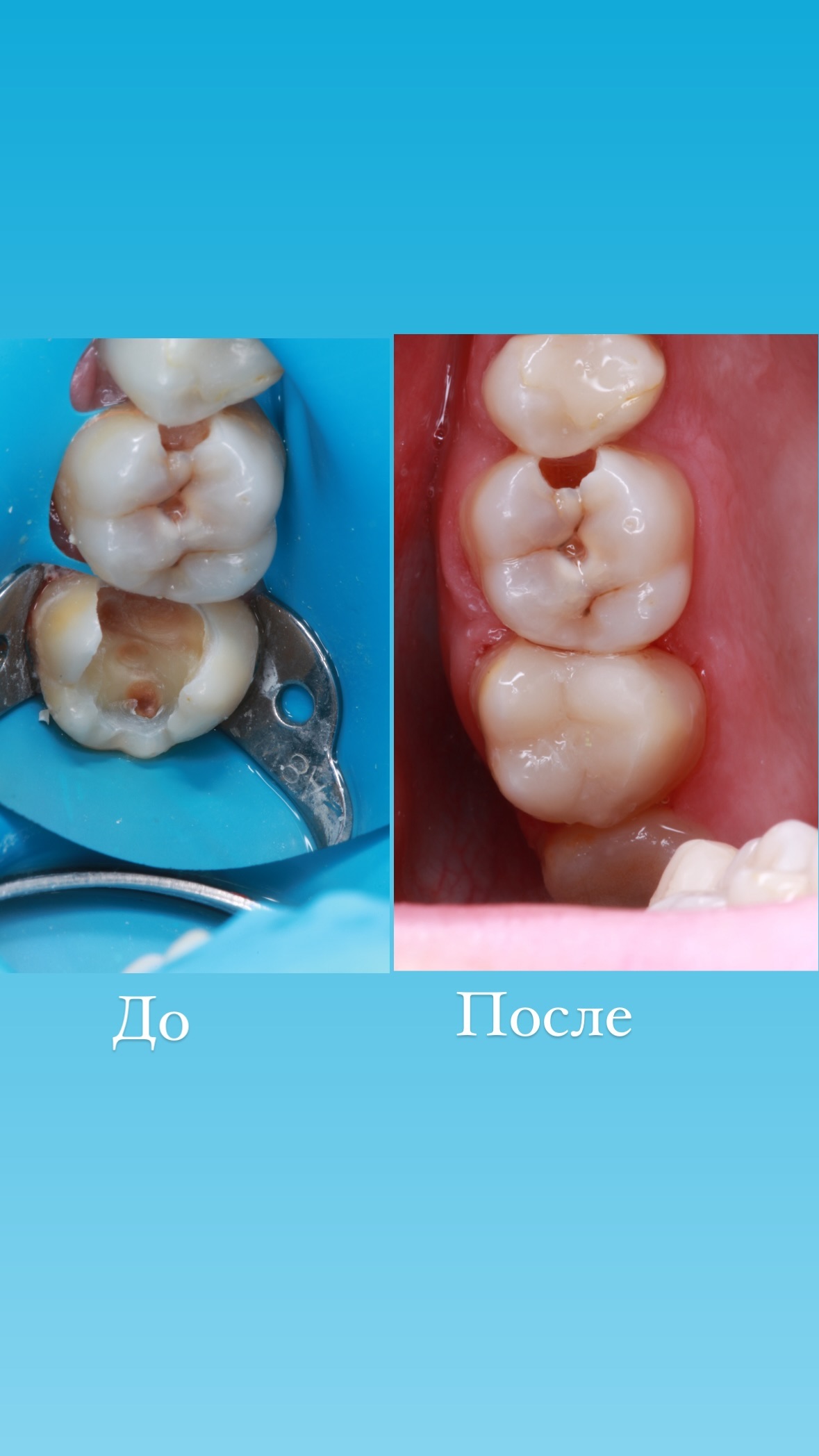Работа клиники